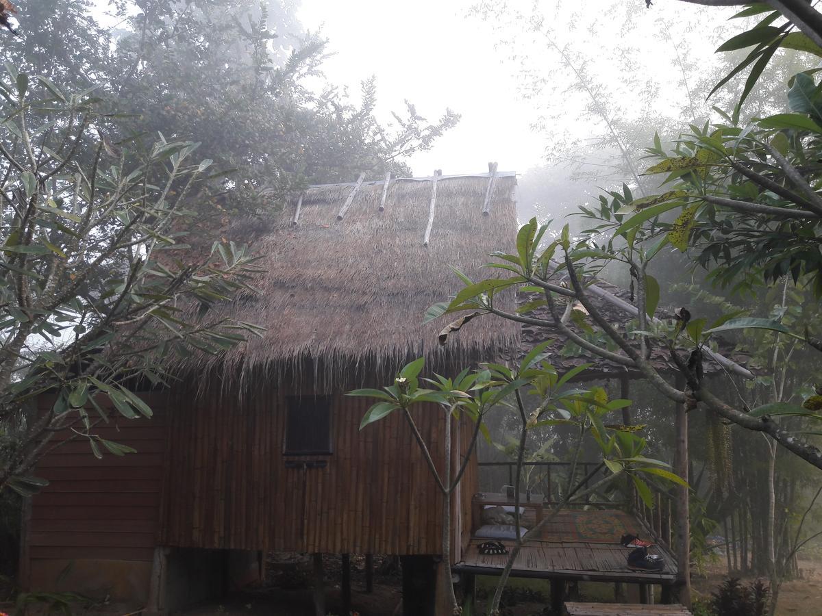 פאי Nusha Homestay מראה חיצוני תמונה