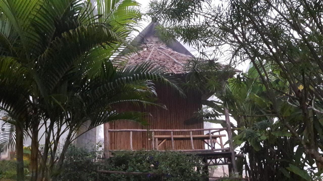 פאי Nusha Homestay מראה חיצוני תמונה