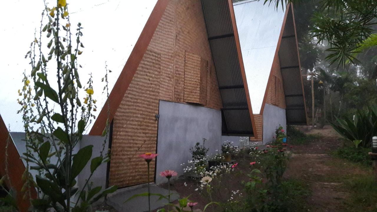 פאי Nusha Homestay מראה חיצוני תמונה
