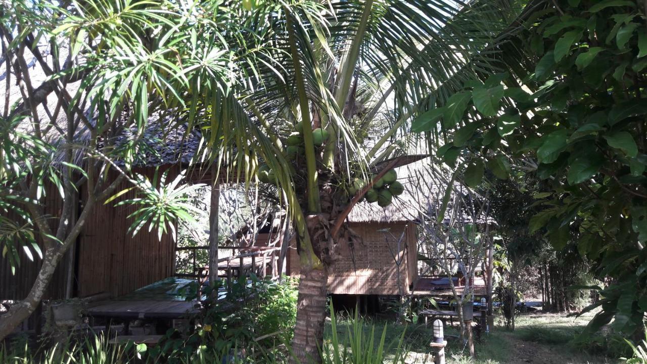 פאי Nusha Homestay מראה חיצוני תמונה