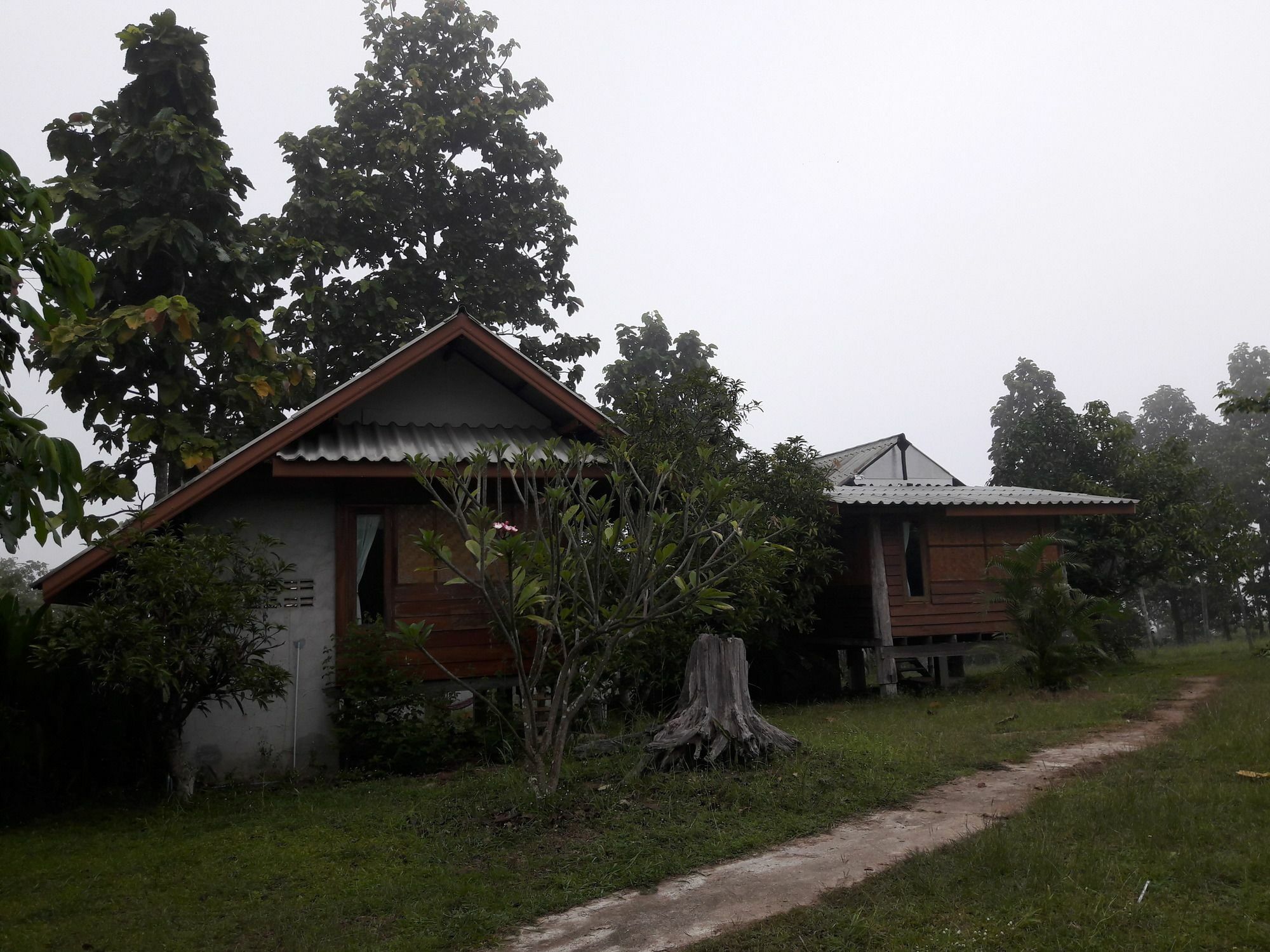 פאי Nusha Homestay מראה חיצוני תמונה